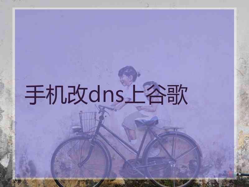 手机改dns上谷歌