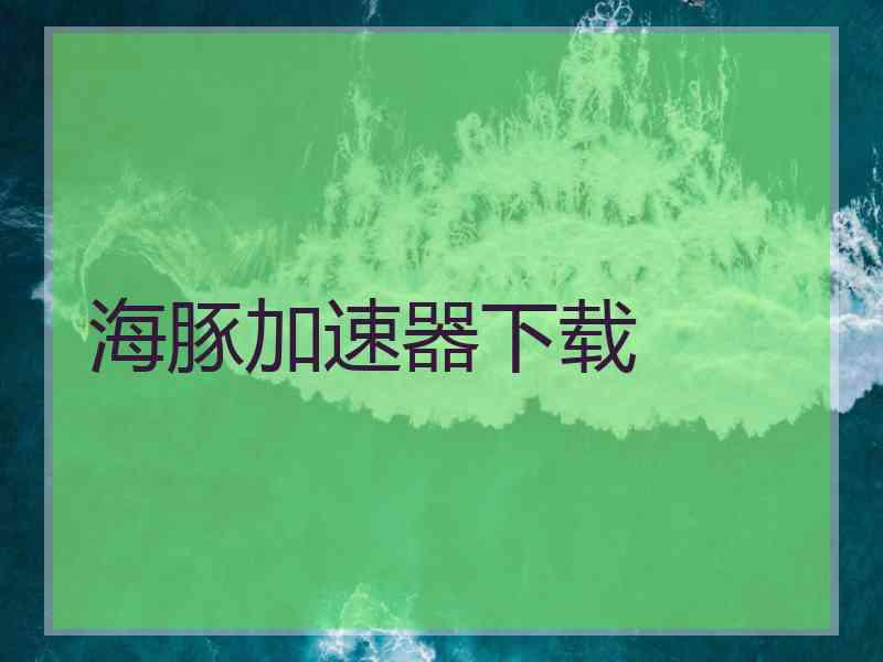 海豚加速器下载