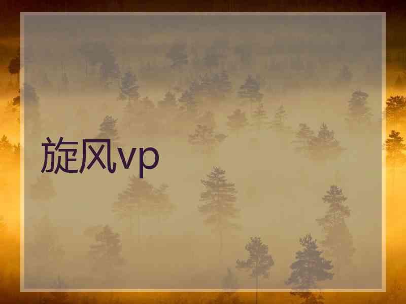 旋风vp