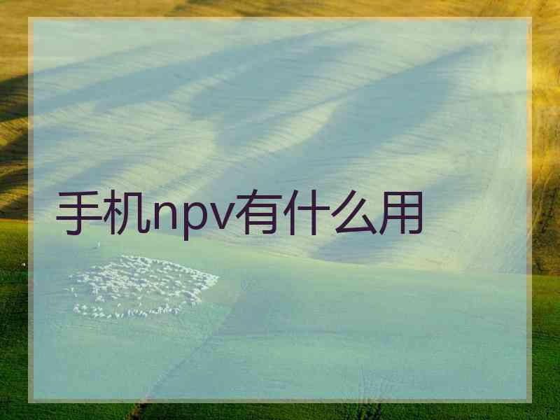 手机npv有什么用