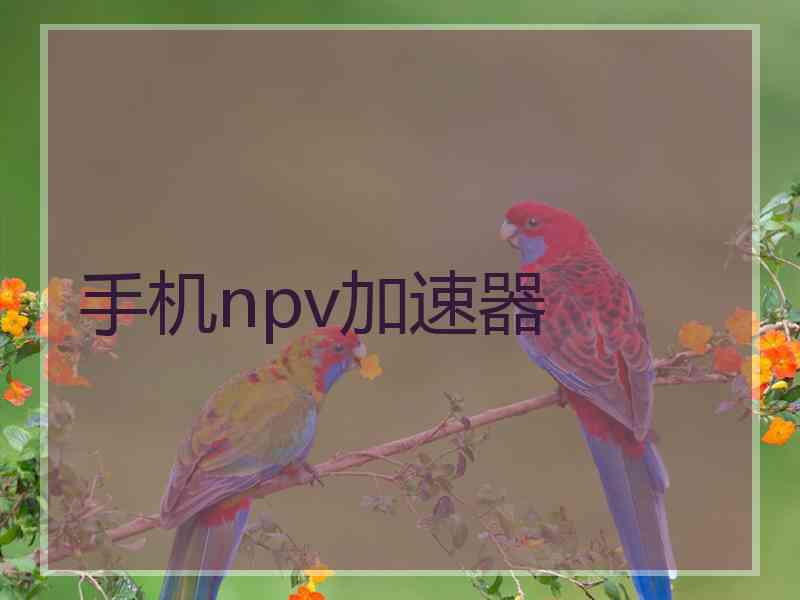 手机npv加速器