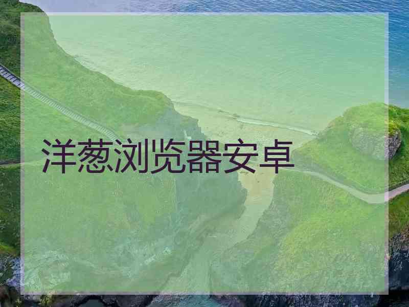 洋葱浏览器安卓