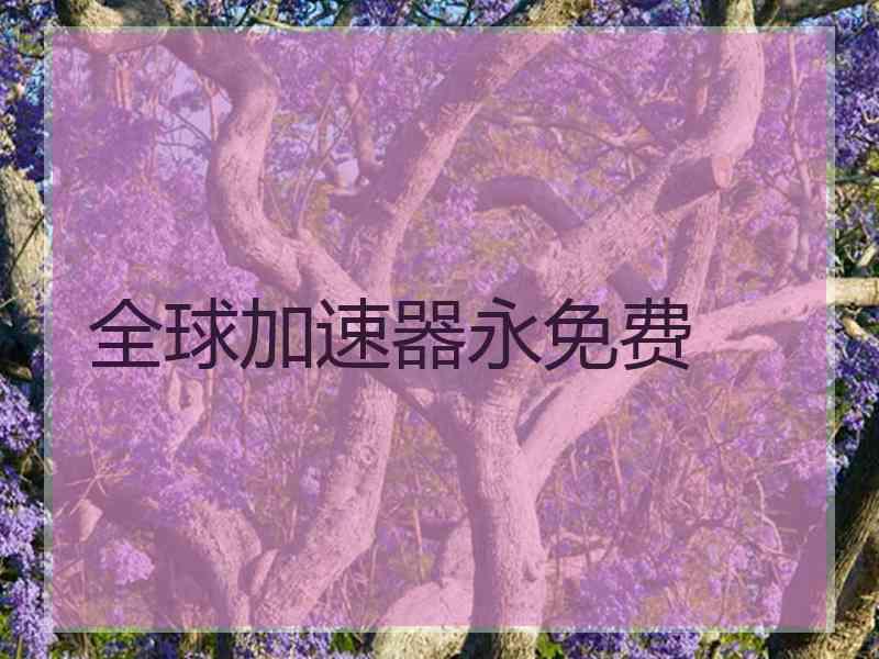 全球加速器永免费