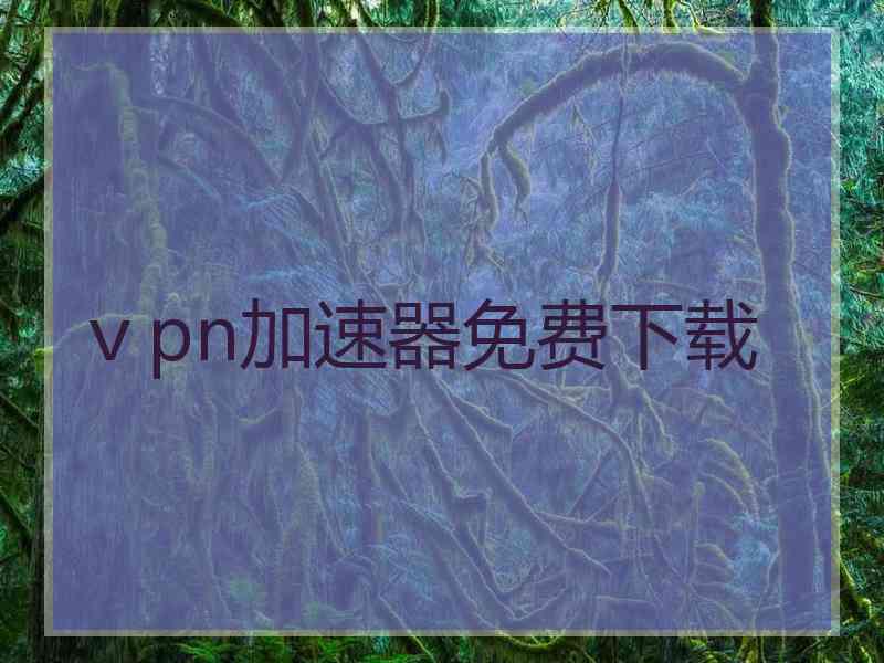 ⅴpn加速器免费下载