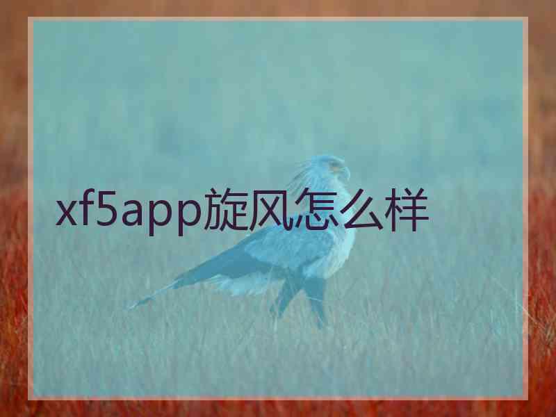 xf5app旋风怎么样