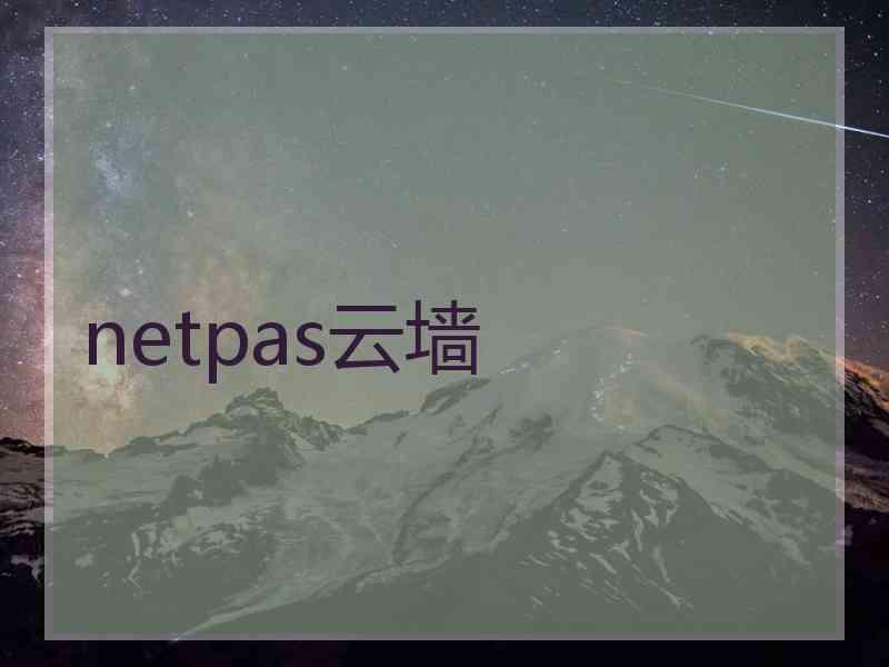 netpas云墙