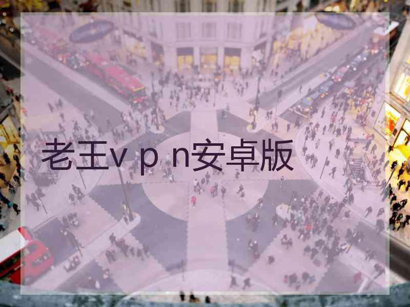 老王v p n安卓版