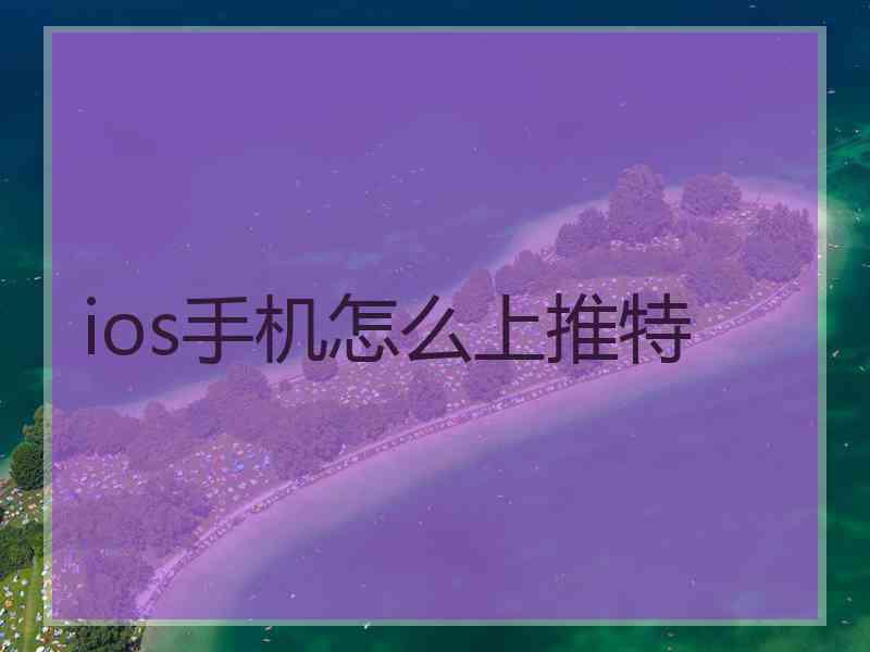 ios手机怎么上推特