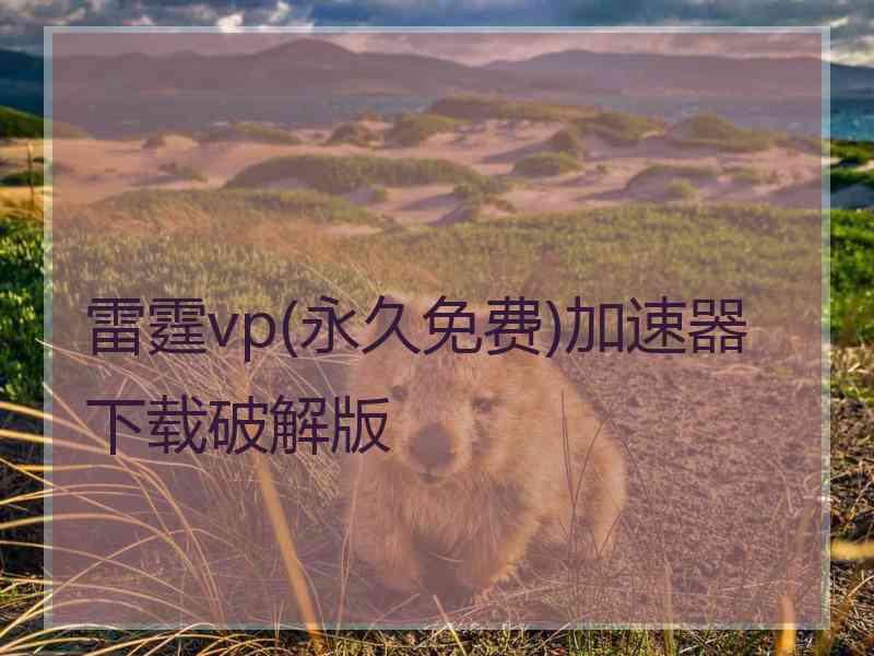 雷霆vp(永久免费)加速器下载破解版