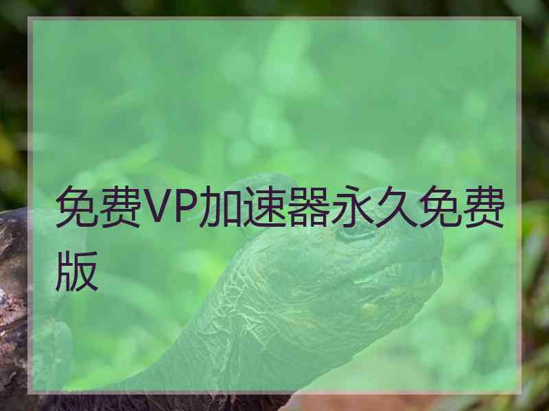 免费VP加速器永久免费版