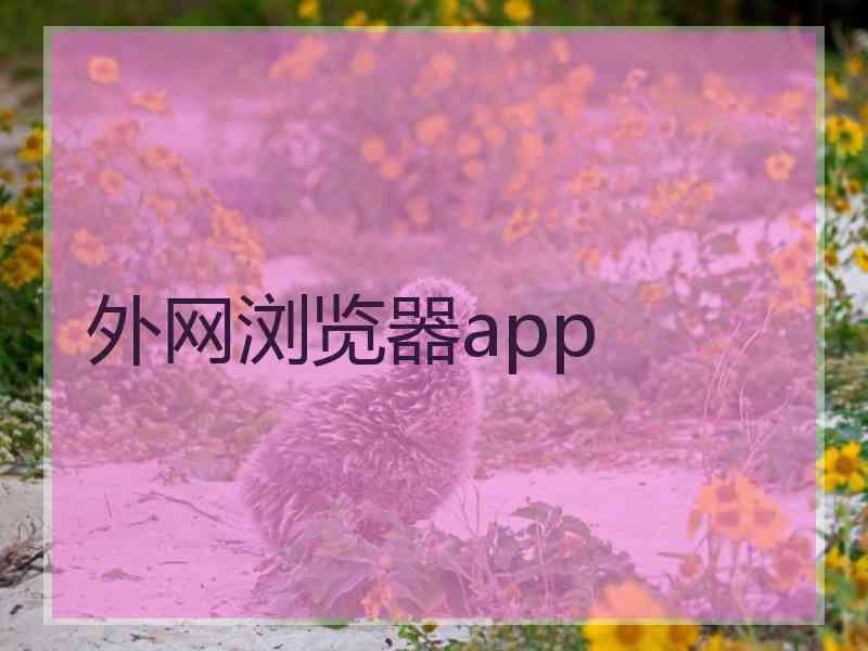 外网浏览器app