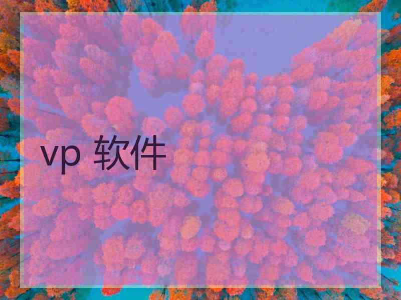 vp 软件