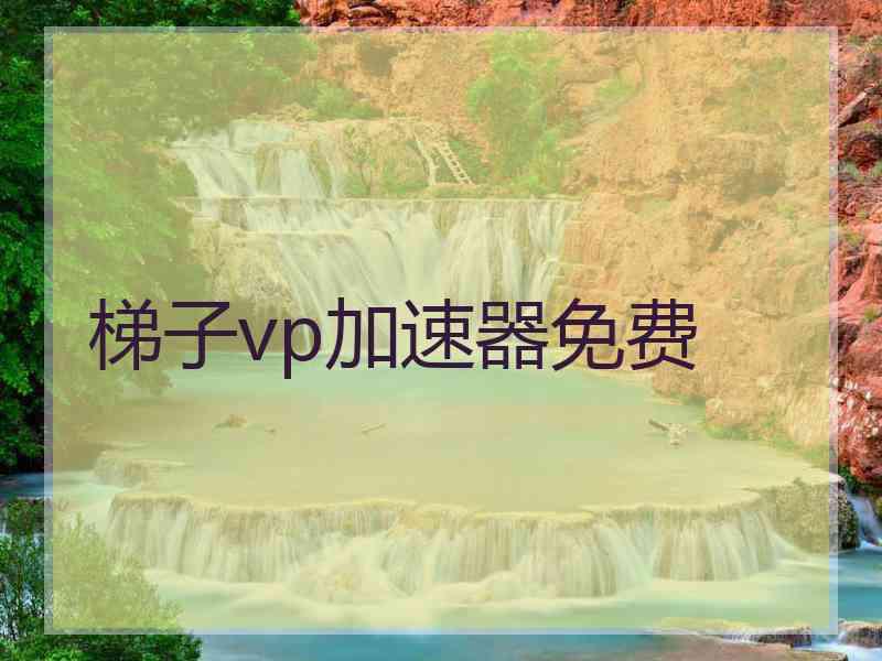 梯子vp加速器免费