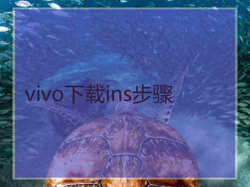 vivo下载ins步骤